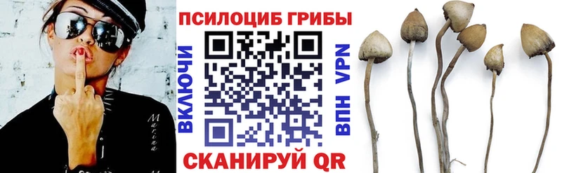 Купить где Богородицк Псилоцибиновые грибы MAGIC MUSHROOMS